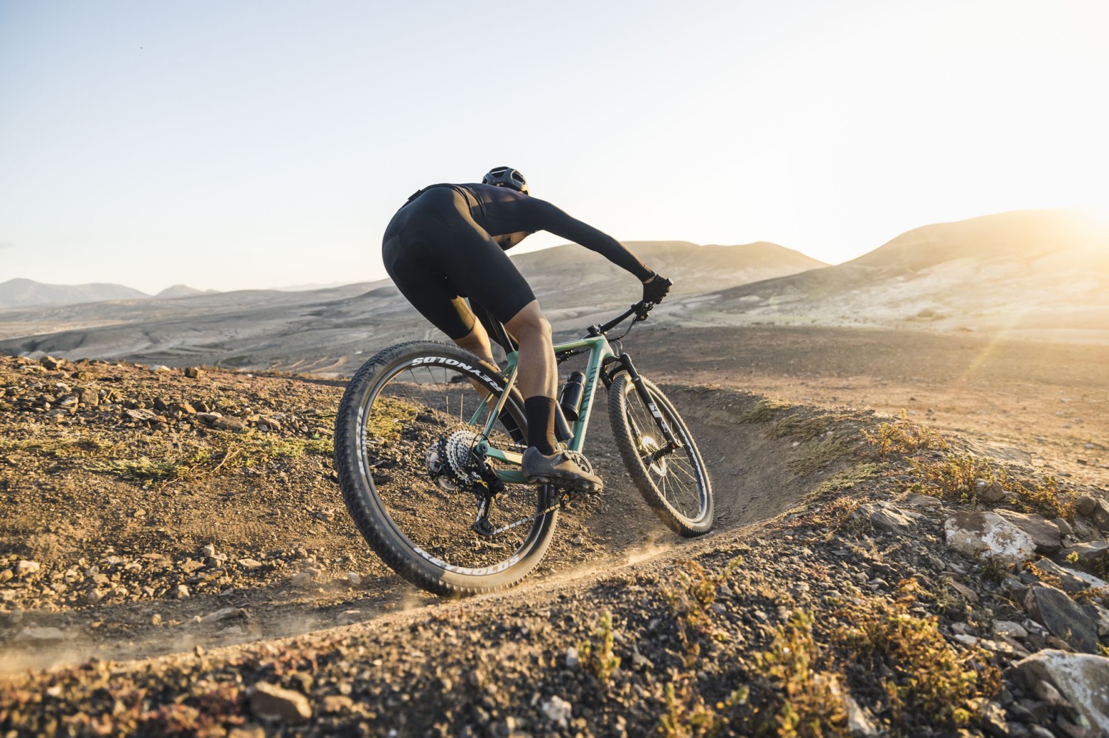 Descubre Tu Cronotipo Para Entrenar Y Rendir Mejor