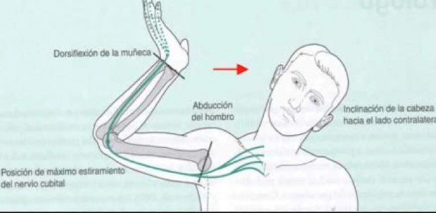 Neurodinamia Ejercicios Sencillos Para Que No Se Te Duerman Las Manos