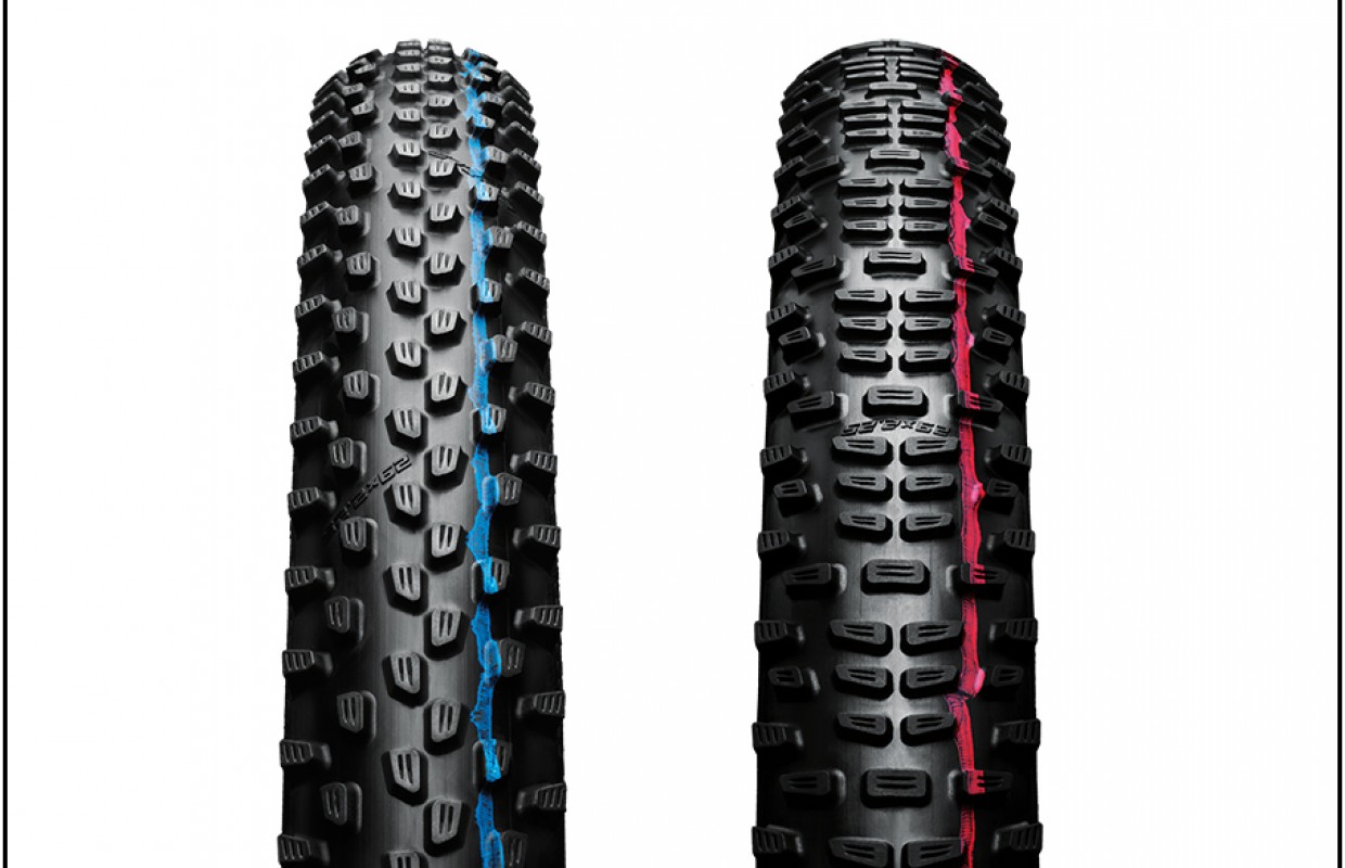 Nuevos neumáticos Schwalbe Racing Ray y Racing Ralph