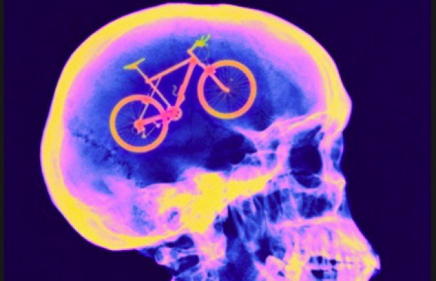Si practicas mountain bike eres más inteligente