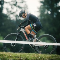 Advantages and disadvantages of the telescopic seatpost