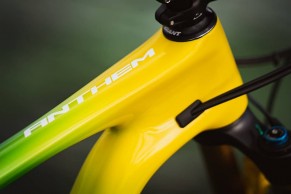 Una Giant Anthem muy especial en la lucha contra el cáncer