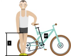 What bike size do you need? Here's how to find out