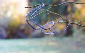 Superleggero TI 3D: el portabidón de titanio más ligero del mundo