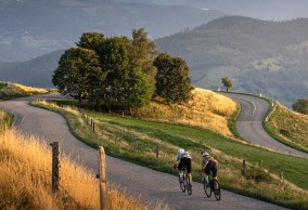 New Focus Paralane 2024: Fast and comfortable for long distances