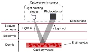 The optical sensor will end the chest-strap heart rate monitor