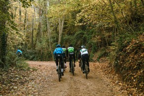 Some reasons to stay away from the road in winter