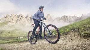 motor-central-motor-buje-e-bike/