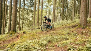 Dicas para manter a motivação no inverno