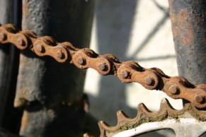 What is the winter bicycle and why is it disappearing