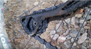 What is the winter bicycle and why is it disappearing