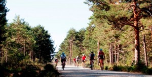 La UCI quiere celebrar un Mundial de Gravel