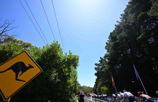 Tour Down Under 2024: stages, dates and favorites of the first race of the year
