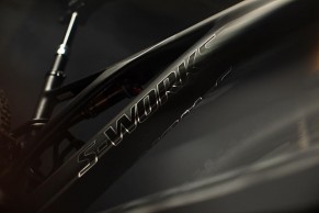 Specialized Turbo Levo SL, when less is much more