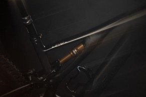 Specialized Turbo Levo SL, when less is much more