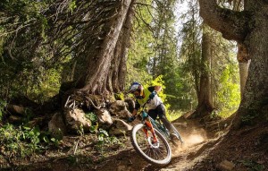 ¿Nueva subida de precios? el sector ciclista espera nuevos retrasos por el conflicto en el Mar Rojo