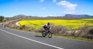 Prolonged endurance exercise causes a drastic reduction of myelin in the brain