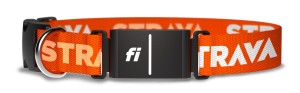 Tu chien peut maintenant avoir un compte Strava et être suivi avec ce collier intelligent