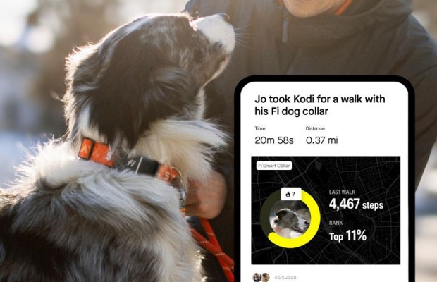 Tu chien peut maintenant avoir un compte Strava et être suivi avec ce collier intelligent