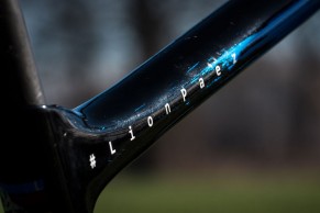 giant-anthem-advanced-pro-29-leo-paez/