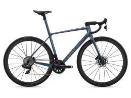 New Giant TCR 2024