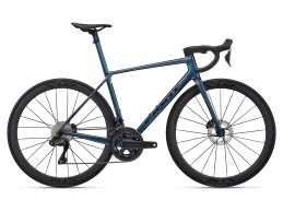 New Giant TCR 2024