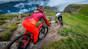 What is the difference between mountain and road saddles?