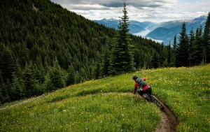 Trek is preparing to make cuts and wants to reduce its catalog