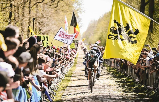 Van der Poel joins the criticism of the new chicane in the Paris-Roubaix: "Is this a joke?"
