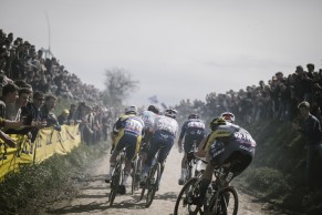 Van der Poel dynamite and wins the Paris-Roubaix 2024