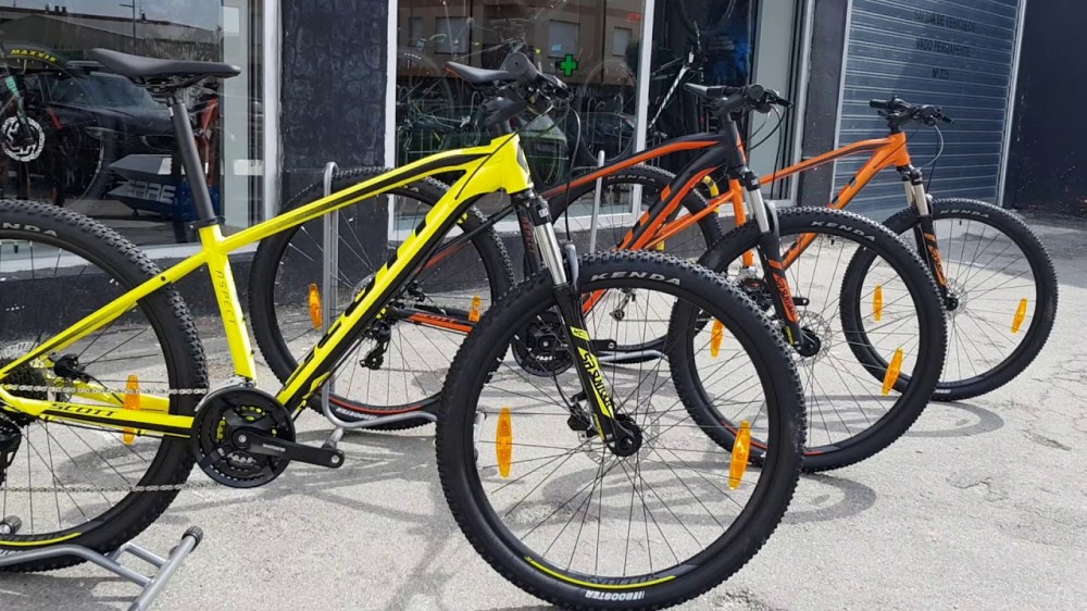 orbea mx 40 vs trek marlin 6