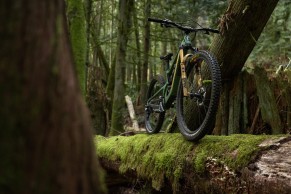 Horquillas Gold Edition y nuevos cartuchos, así celebra FOX su aniversario