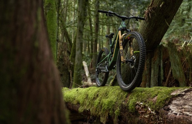 Gold Edition forks and new cartridges, this is how FOX celebrates its anniversary