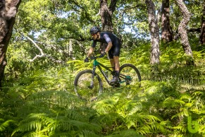 La Cannondale Scalpel 2021 se presenta con un revolucionario sistema FlexPivot de suspensión