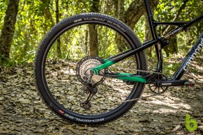 Cannondale Scalpel 2021: precio y gama completa