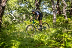 Cannondale Scalpel 2021 presented with revolutionary FlexPivot suspension system