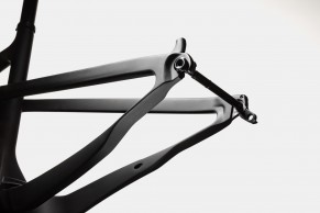 cannondale-flexpivot/