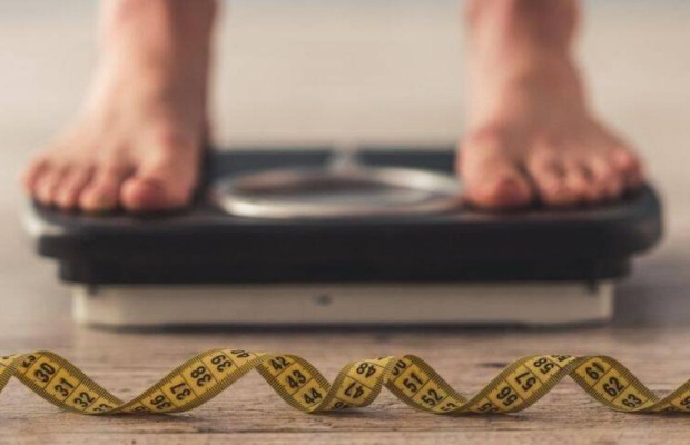 What is the Harris-Benedict formula and how does it work for weight loss or performance?