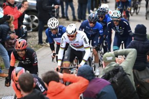 Van der Poel surrenders to Pogacar: