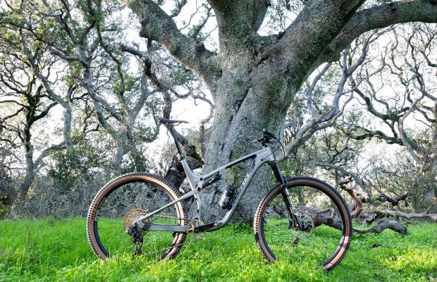 Kona Bikes is for sale