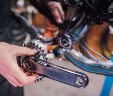 The sales of Shimano continue to fall in 2024