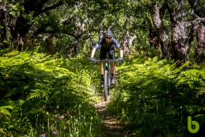 Prueba a fondo de la nueva Cannondale Scalpel Hi-Mod 1 tras más de 200 km con ella