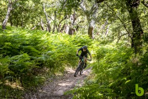 Prueba a fondo de la nueva Cannondale Scalpel Hi-Mod 1 tras más de 200 km con ella