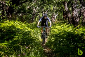 Cannondale Scalpel 2021