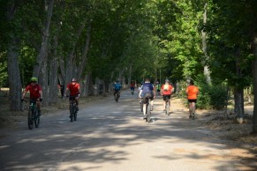 Strava asks cyclists to be cautious after the fatal run-over of a pedestrian in a well-known segment