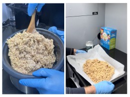 Crispy Rice with Marshmallows Bars, the recipe that triumphs in the peloton