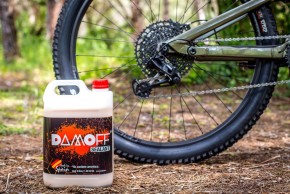 When must the tubeless tire sealant be replaced? What quantity?