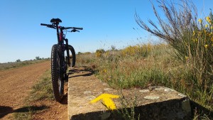 bicicleta-camino-santiago/