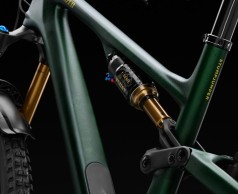 Specialized Stumpjumper 15: models and prices