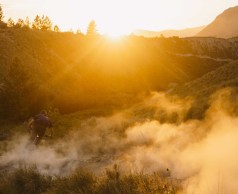 Specialized Stumpjumper 15: models and prices